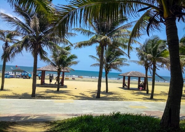 阳光沙滩椰子树