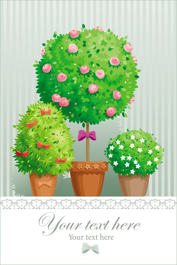綠色植物盆栽