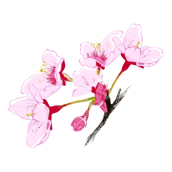 矢量图植物写意花卉花朵桃花免费素材