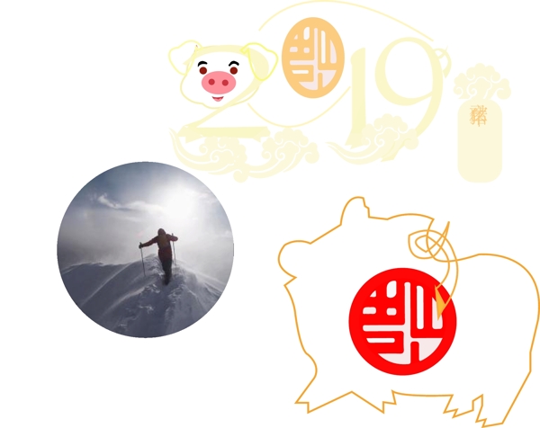 2019金猪艺术字体