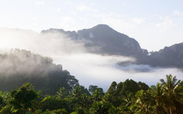树林山脉中雾气慢慢飘舞的美丽天然氧气吧旅游视频素材