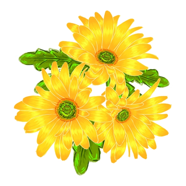 手绘三朵黄色菊花原创免抠设计元素