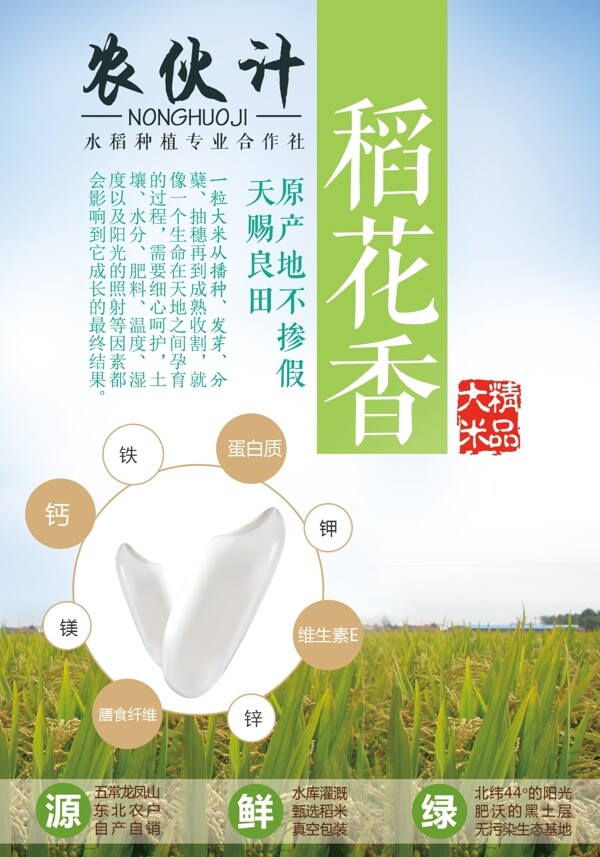 大米海報