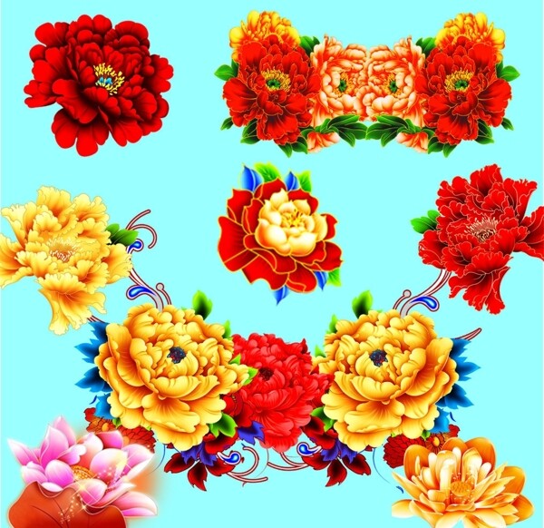 牡丹花集位圖圖片