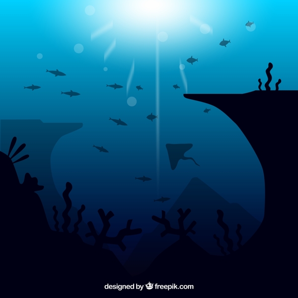 深海鱼类风景图片