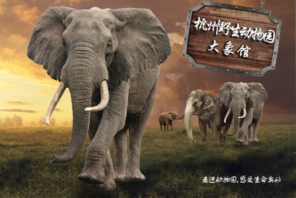 動物園海報