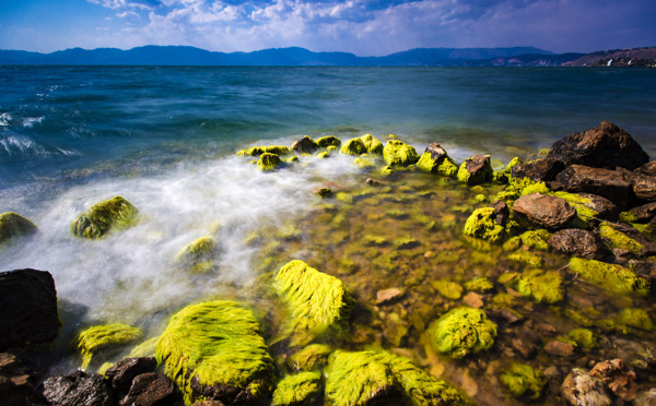 云南撫仙湖風(fēng)景