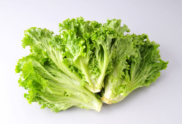 生菜圖片