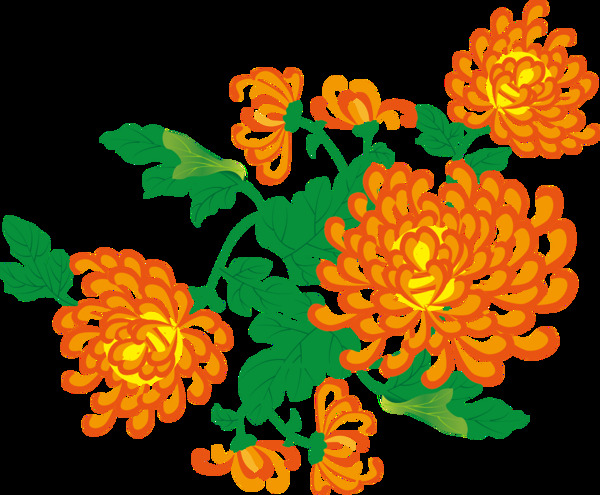 简约橙色花朵手绘菊花装饰元素