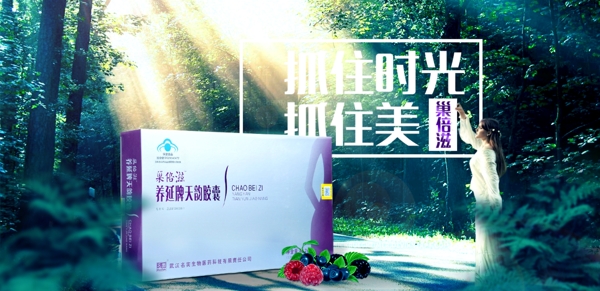 巢倍滋