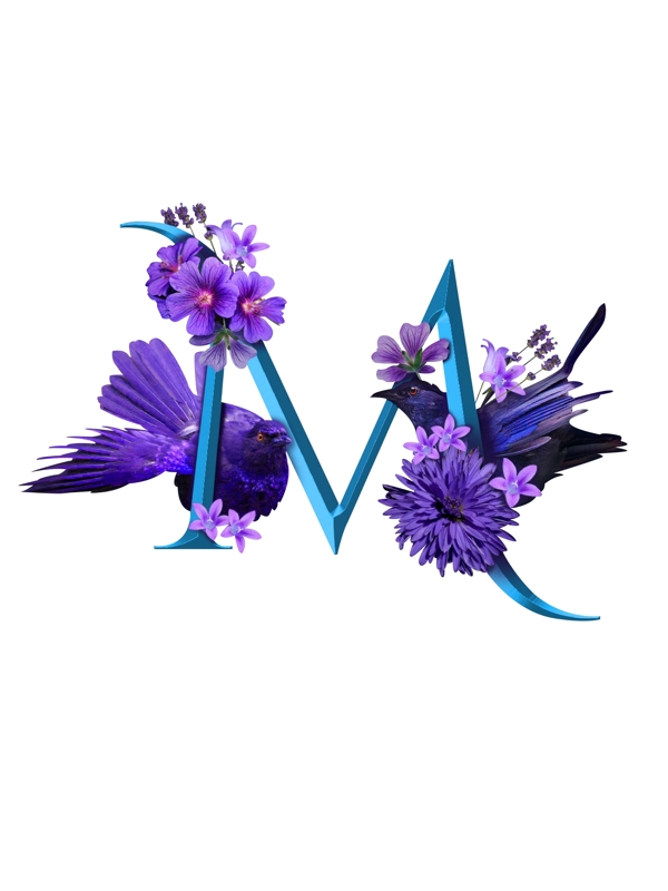 字母字母M花鸟紫色