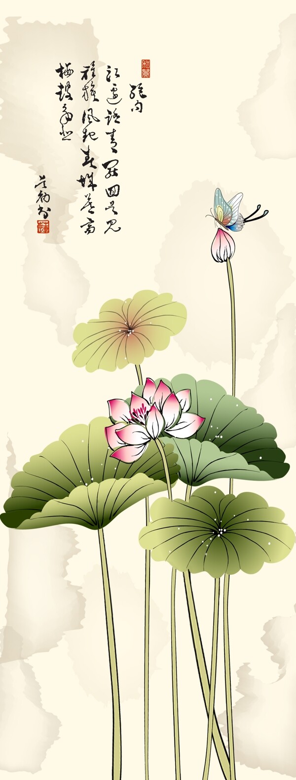 蝴蝶蓮花
