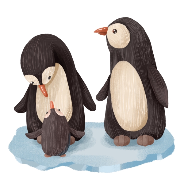 手绘卡通企鹅一家可爱南极动物