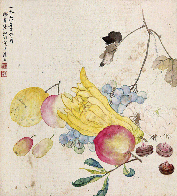 蔬果圖圖片