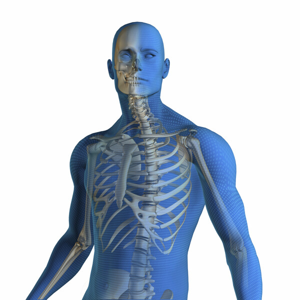 人体骨骼CT图片