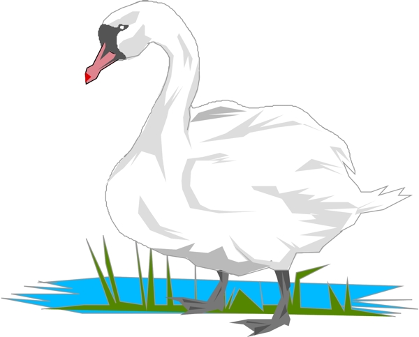 矢量逼真鳥類動物32