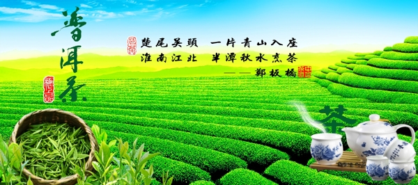 茶園