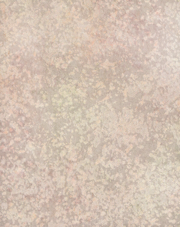 墻壁紙圖片