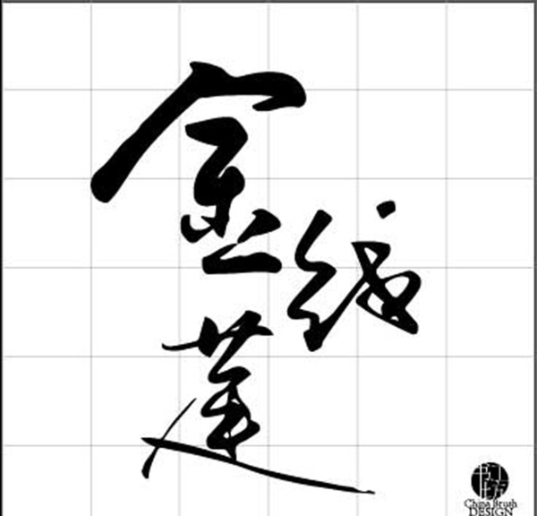 金線蓮圖片