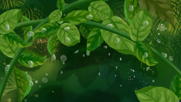 綠葉雨滴