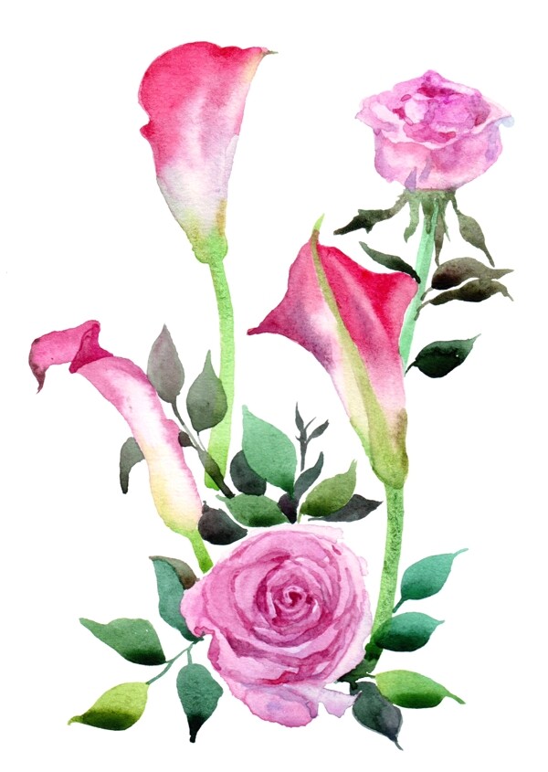 手绘粉色的花卉插画