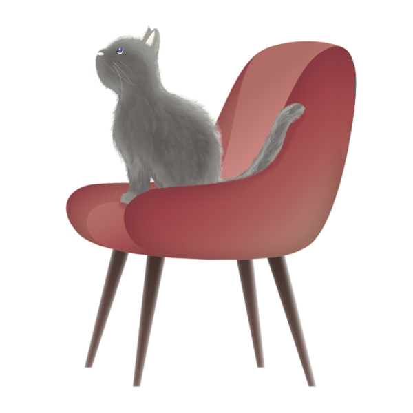 手绘红色椅子柔顺猫咪