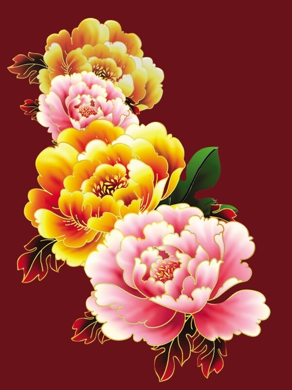 牡丹花