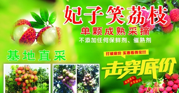 荔枝圖片