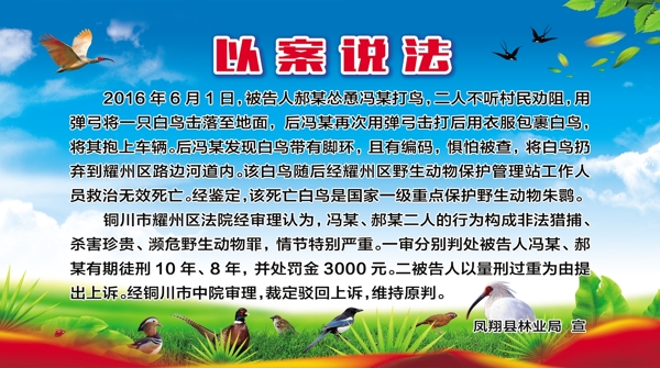 以案說法