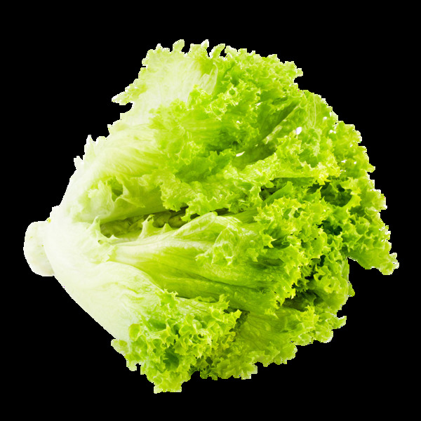 綠色生菜元素