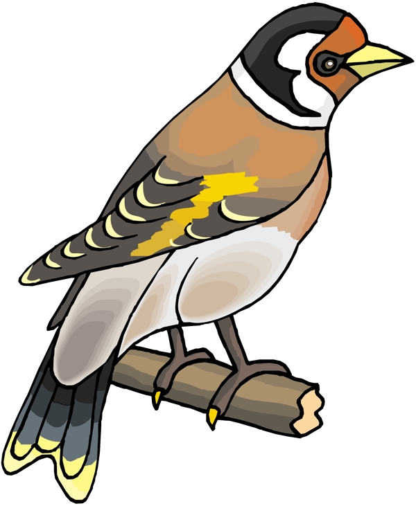 各種鳥類鳥動物矢量素材EPS格式0869