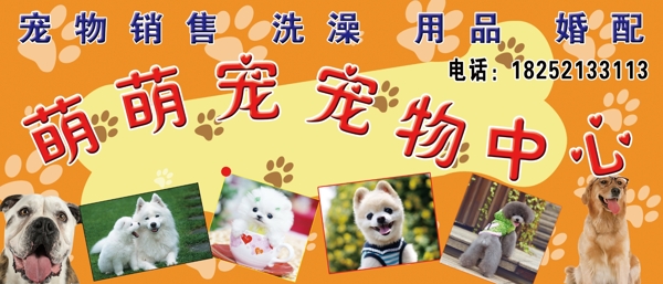 寵物店圖片