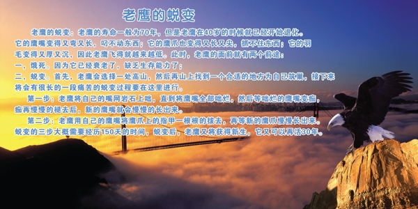 企業(yè)文化展板