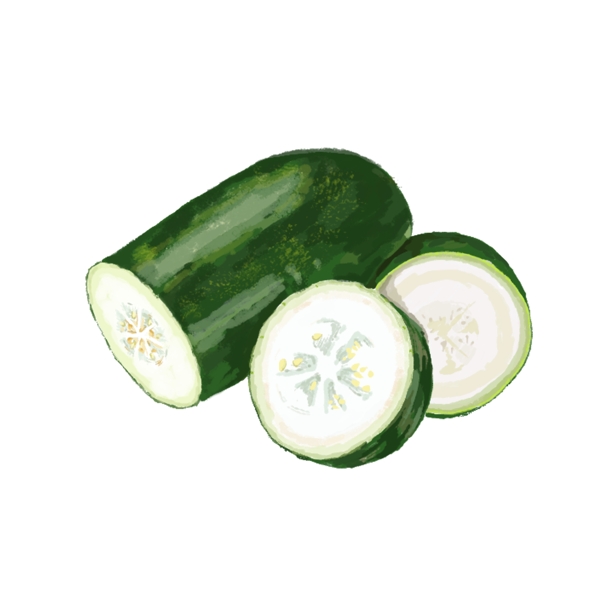 超写实水墨风格绿色冬瓜蔬菜果蔬插画素材免费下载