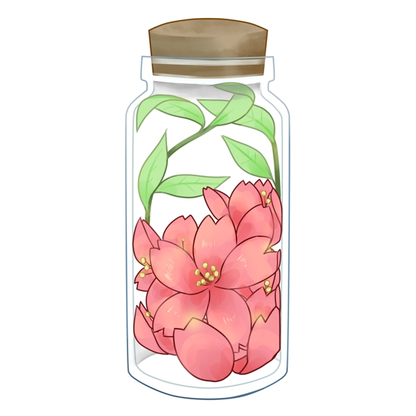 裝在瓶子的櫻花插畫