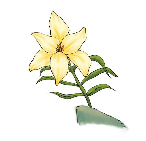 手绘黄花植物元素图片