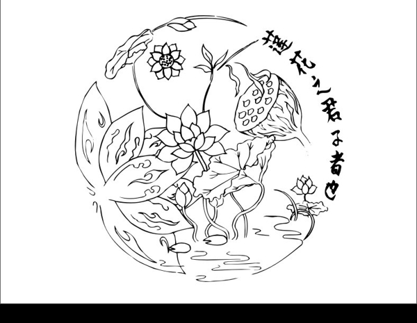 蓮花圖片