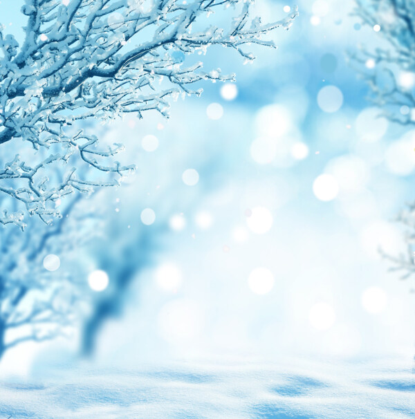梦幻光斑与雪地风景图片
