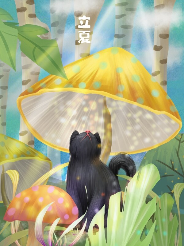 立夏小黑猫躲在蘑菇下面避阳光