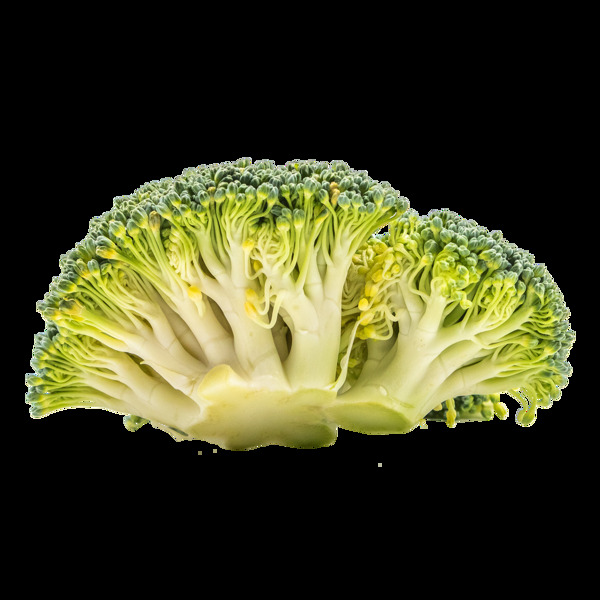 绿色有机蔬菜