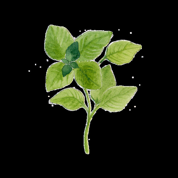 水綠花枝透明裝飾素材