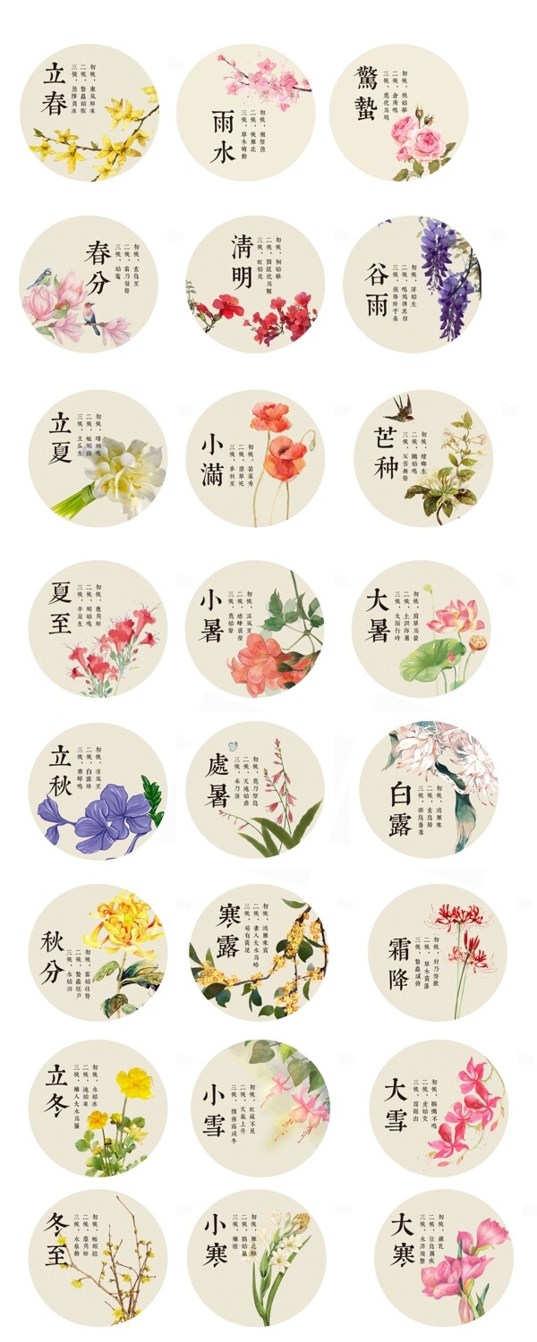 二十四節(jié)氣花