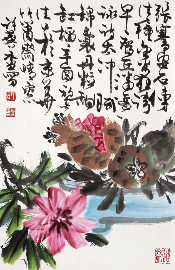 石榴圖片