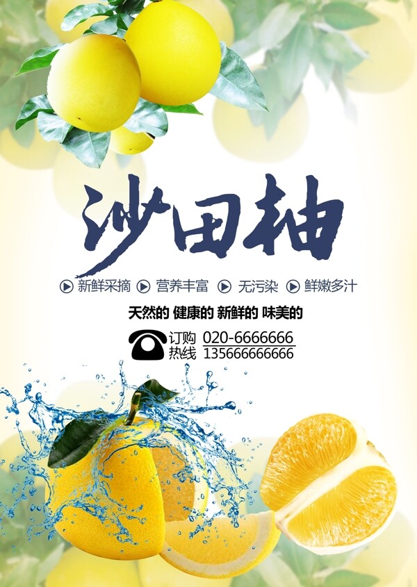 沙田柚子海报设计