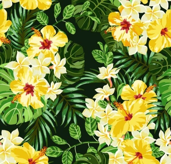 熱帶花朵