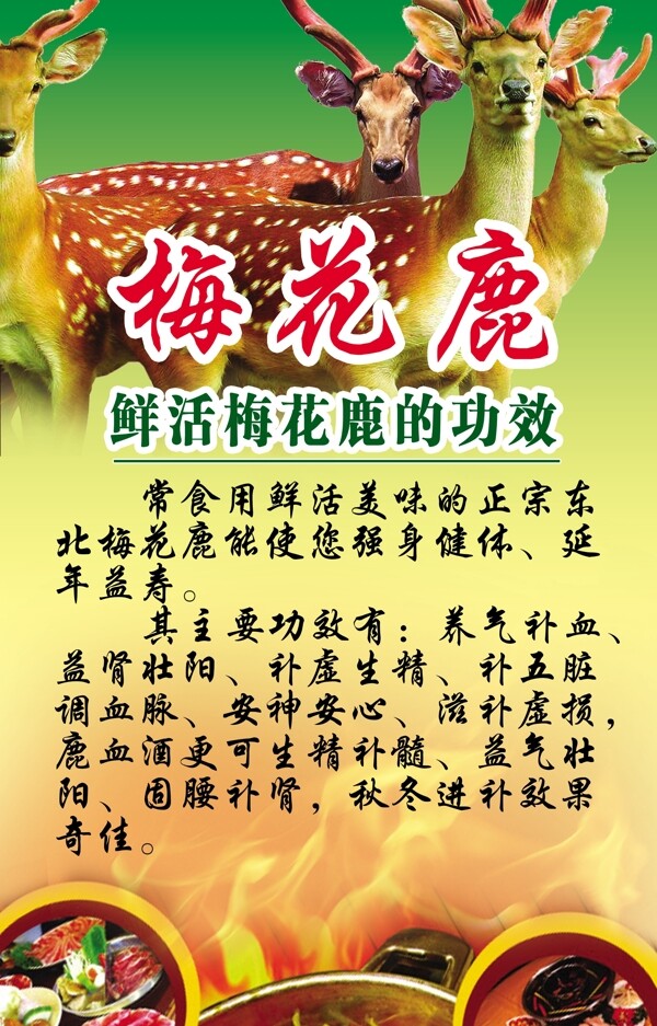 酒店廣告圖