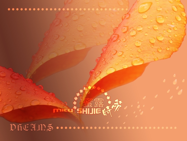 相冊模板圖片