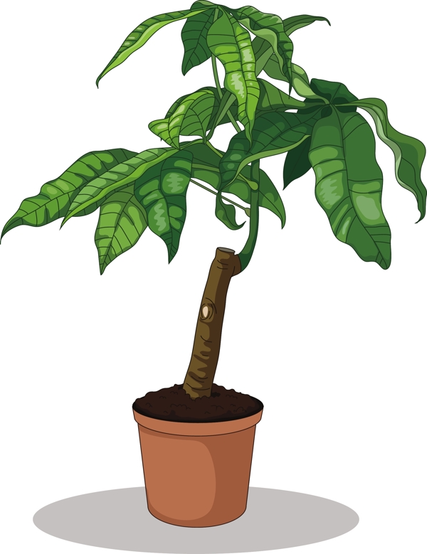 手繪綠色植物插畫可商用