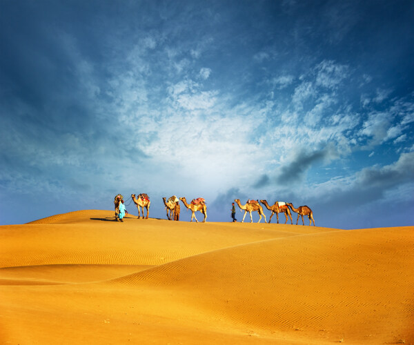 美丽迪拜沙漠风景