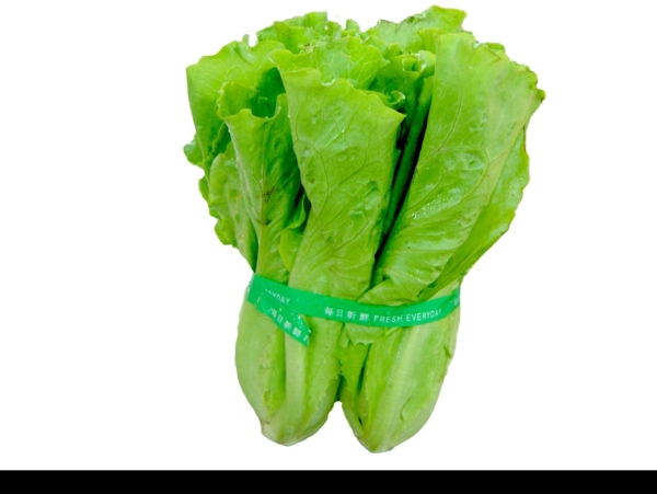 生菜圖片